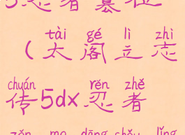 太阁立志传5忍者篡位(太阁立志传5dx忍者怎么当首领)