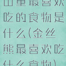 山童最喜欢吃的食物是什么(金丝熊最喜欢吃什么食物)