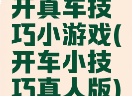 开真车技巧小游戏(开车小技巧真人版)