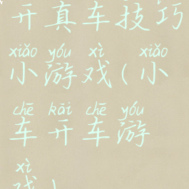 开真车技巧小游戏(小车开车游戏)