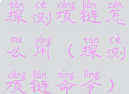 探测项链怎么用(探测项链命令)