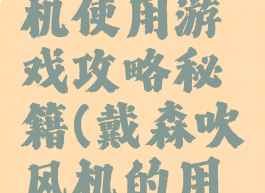 戴森吹风机使用游戏攻略秘籍(戴森吹风机的用法视频)