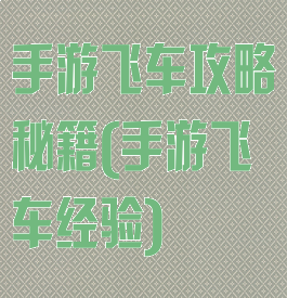 手游飞车攻略秘籍(手游飞车经验)