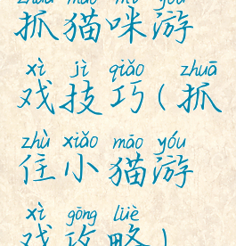 抓猫咪游戏技巧(抓住小猫游戏攻略)