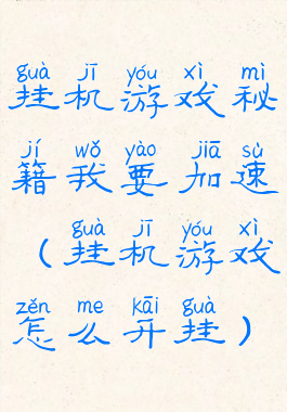 挂机游戏秘籍我要加速(挂机游戏怎么开挂)