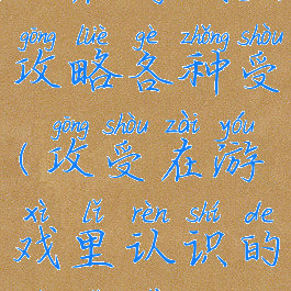 攻在游戏里攻略各种受(攻受在游戏里认识的受是治疗)