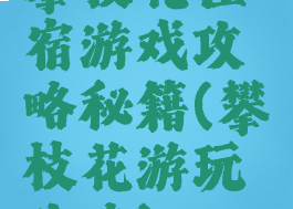 攀枝花住宿游戏攻略秘籍(攀枝花游玩攻略)