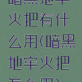 暗黑地牢火把有什么用(暗黑地牢火把怎么用)