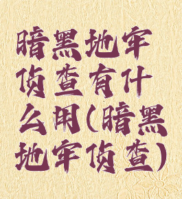 暗黑地牢侦查有什么用(暗黑地牢侦查)