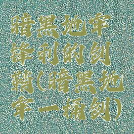 暗黑地牢锋利的剑鞘(暗黑地牢一桶剑)