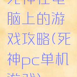 死神在电脑上的游戏攻略(死神pc单机游戏)