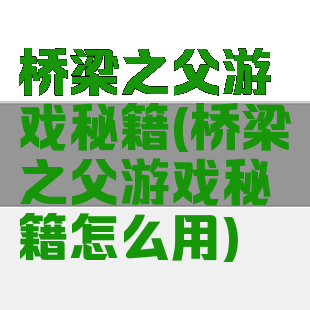 桥梁之父游戏秘籍(桥梁之父游戏秘籍怎么用)