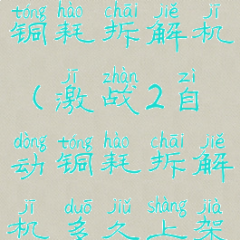 激战2自动铜耗拆解机(激战2自动铜耗拆解机多久上架一次)