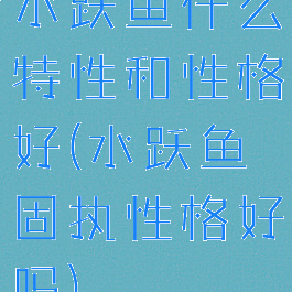 水跃鱼什么特性和性格好(水跃鱼固执性格好吗)