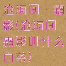 沧海间·霜影(沧海间霜影叫什么白菜)