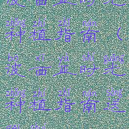 波西亚时光种植指南(波西亚时光种植指南送给谁)