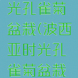 波西亚时光孔雀菊盆栽(波西亚时光孔雀菊盆栽怎么获得)