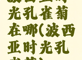 波西亚时光孔雀菊在哪(波西亚时光孔雀菊)