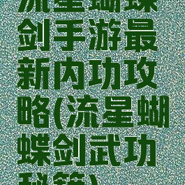 流星蝴蝶剑手游最新内功攻略(流星蝴蝶剑武功秘籍)