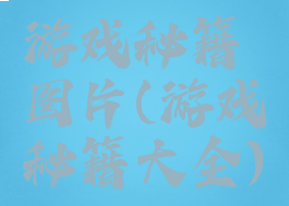 游戏秘籍图片(游戏秘籍大全)