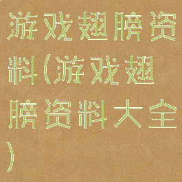 游戏翅膀资料(游戏翅膀资料大全)