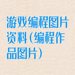 游戏编程图片资料(编程作品图片)