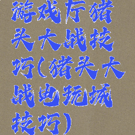 游戏厅猪头大战技巧(猪头大战电玩城技巧)