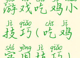 游戏吃鸡小技巧(吃鸡实用技巧)