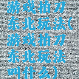 游戏拍刀东北玩法(游戏拍刀东北玩法叫什么)