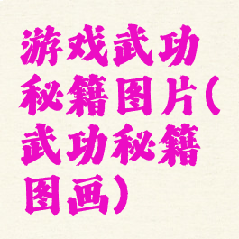 游戏武功秘籍图片(武功秘籍图画)