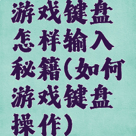游戏键盘怎样输入秘籍(如何游戏键盘操作)