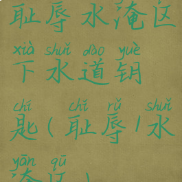 耻辱水淹区下水道钥匙(耻辱1水淹区)