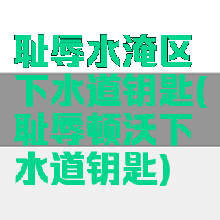 耻辱水淹区下水道钥匙(耻辱顿沃下水道钥匙)