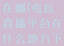 考达拉平台在哪(考拉直播平台在什么地方下载)