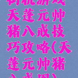 街机游戏天蓬元帅猪八戒技巧攻略(天蓬元帅猪八戒图)