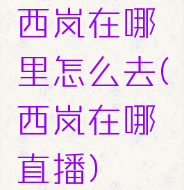 西岚在哪里怎么去(西岚在哪直播)