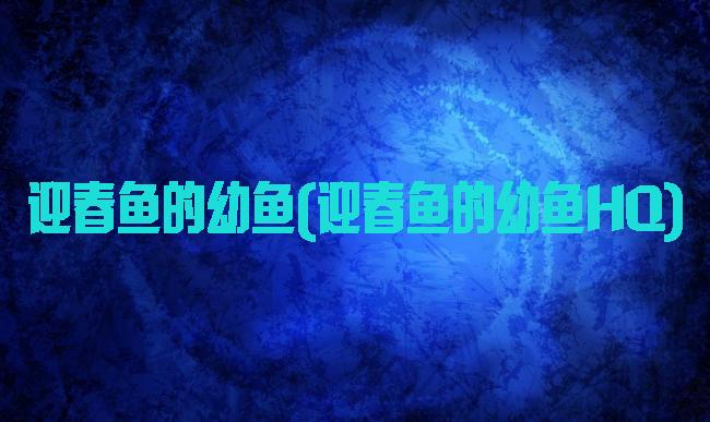 迎春鱼的幼鱼(迎春鱼的幼鱼HQ)