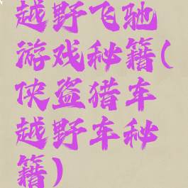 越野飞驰游戏秘籍(侠盗猎车越野车秘籍)