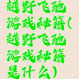 越野飞驰游戏秘籍(越野飞驰游戏秘籍是什么)