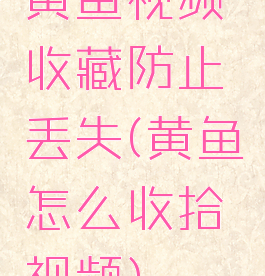 黄鱼视频收藏防止丢失(黄鱼怎么收拾视频)