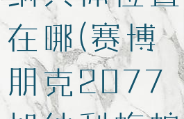 2077加利纳具体位置在哪(赛博朋克2077加纳利蝮蛇)