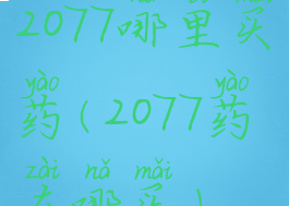 2077哪里买药(2077药在哪买)