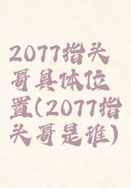 2077指头哥具体位置(2077指头哥是谁)