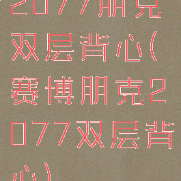 2077朋克双层背心(赛博朋克2077双层背心)