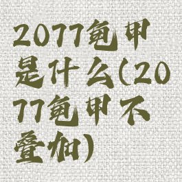2077龟甲是什么(2077龟甲不叠加)