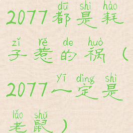 2077都是耗子惹的祸(2077一定是老鼠)