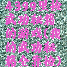 4399里捡武功秘籍的游戏(我的武功秘籍全靠捡)