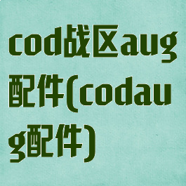 cod战区aug配件(codaug配件)