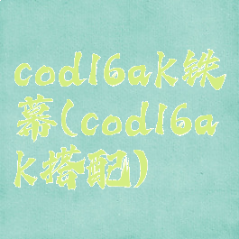 cod16ak铁幕(cod16ak搭配)
