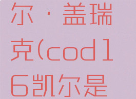 cod16凯尔·盖瑞克(cod16凯尔是谁)